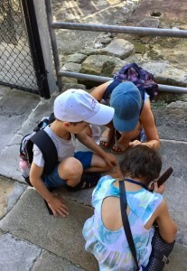 Children at an archeological dig site on a school holiday Māori Tours in Sydney