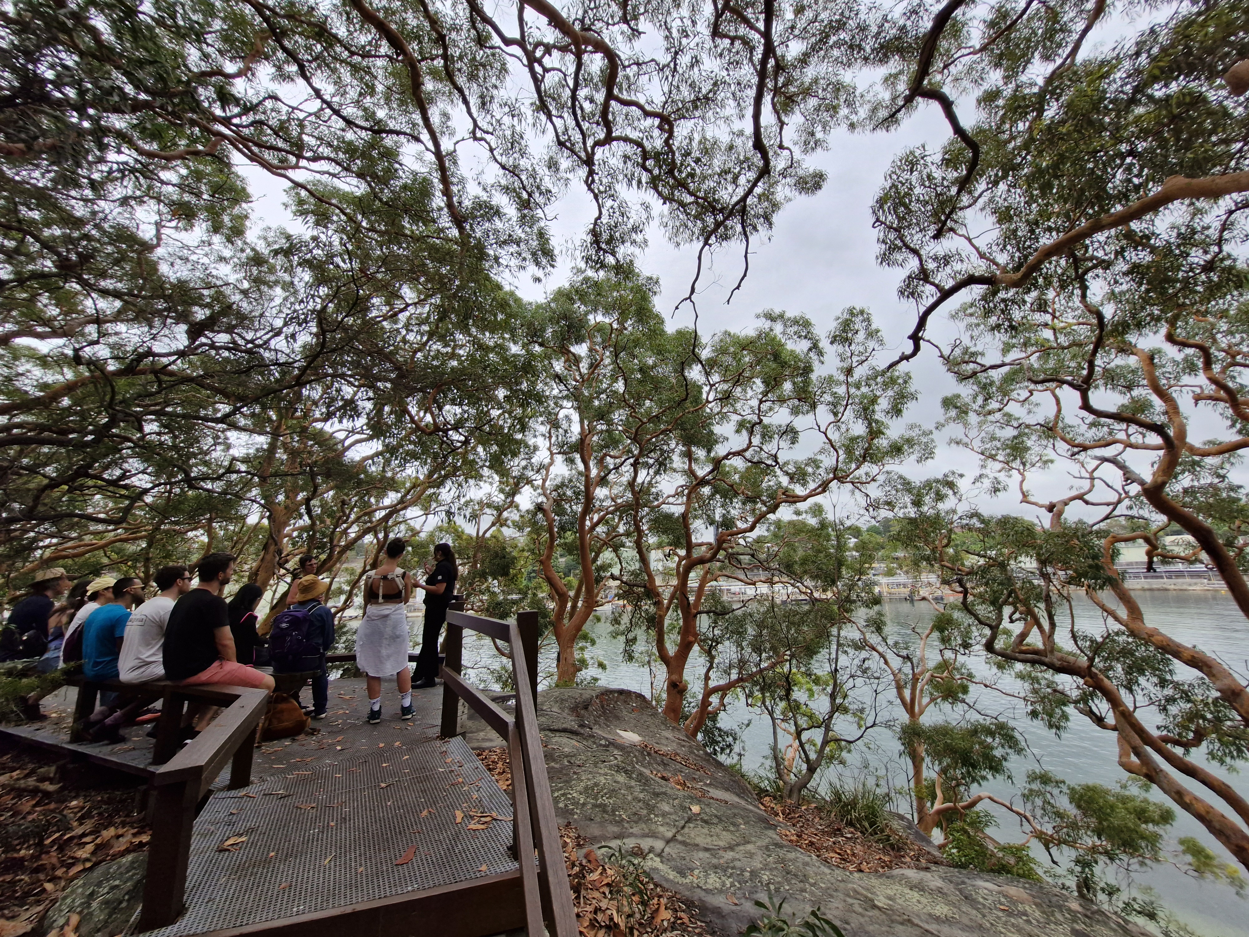 Aboriginal Guide with a group of people, standing on a platform with sea glimpses behing shady trees.