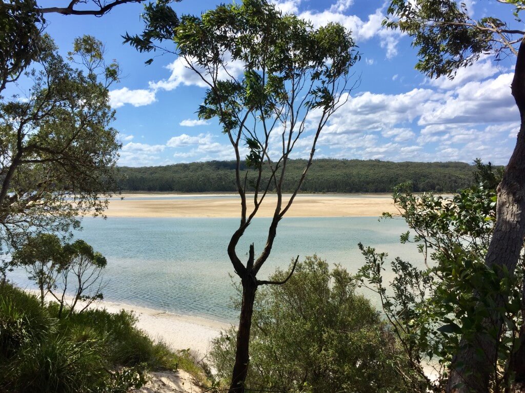 View of Lake Conjola inter-tidal zone.