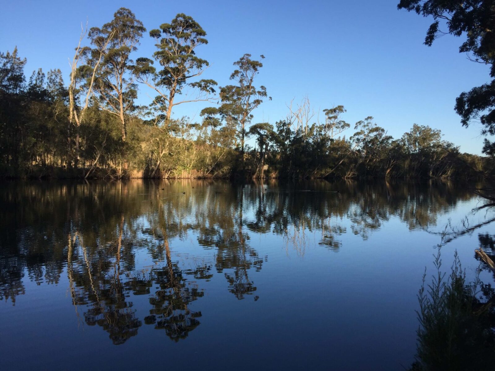 Australian Heritage Festival event in Fishermans Paradise Kotahi Tourism