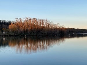 Lake Conjola with bush reflections